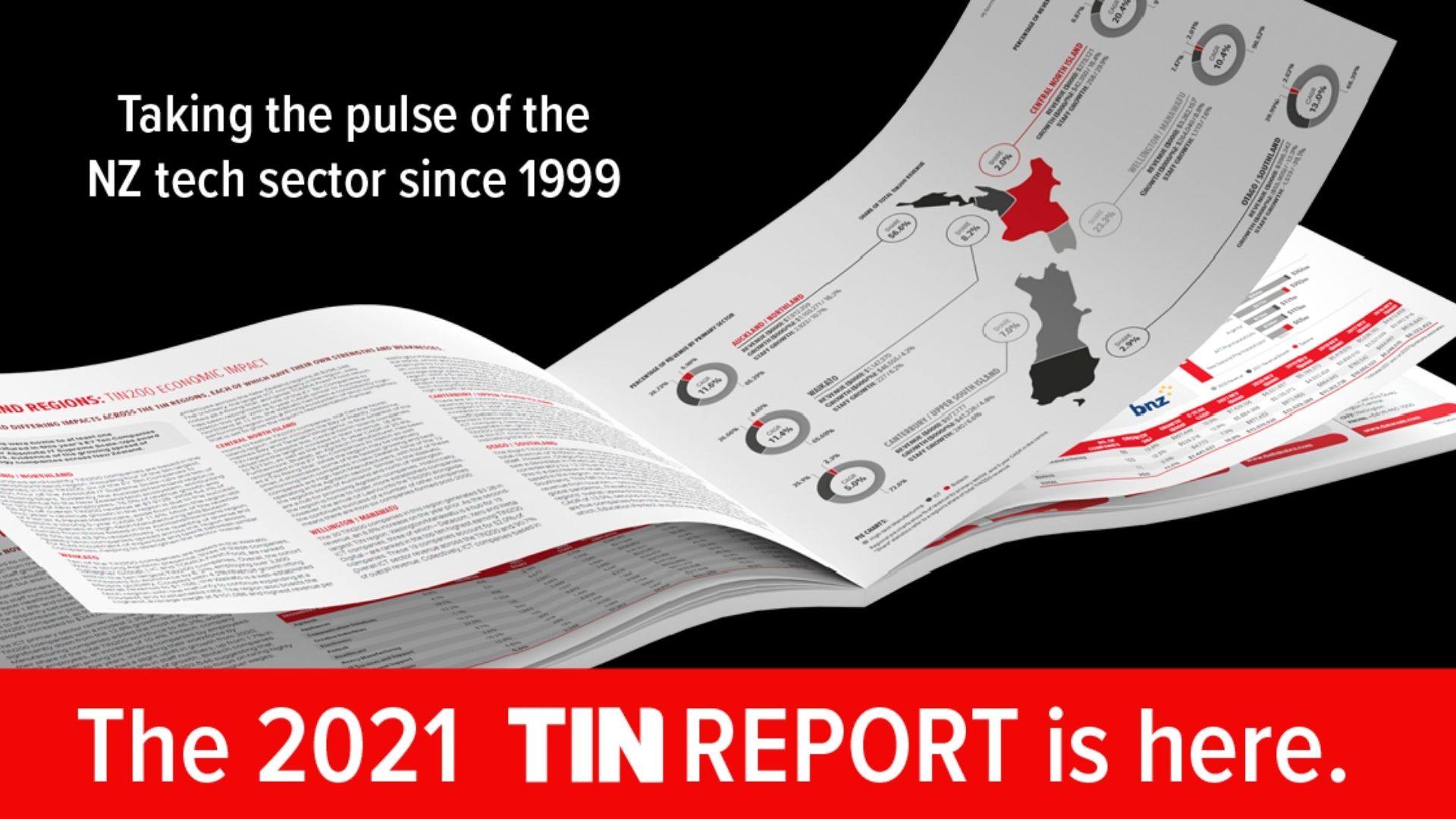 2021 TIN Report